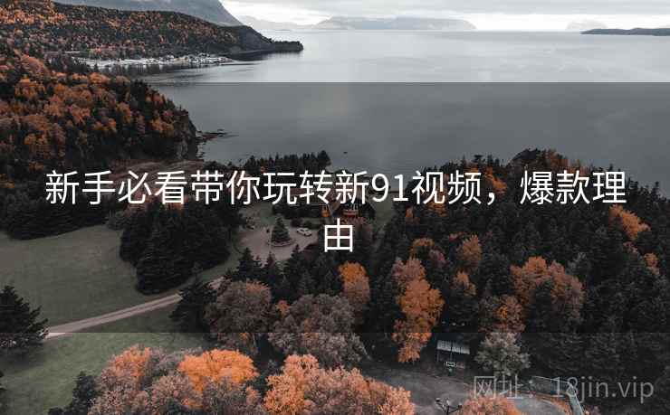 新手必看带你玩转新91视频，爆款理由