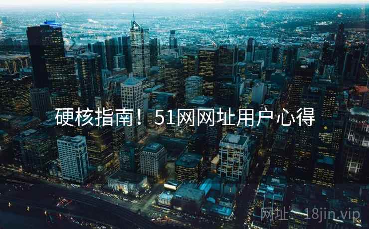 硬核指南！51网网址用户心得