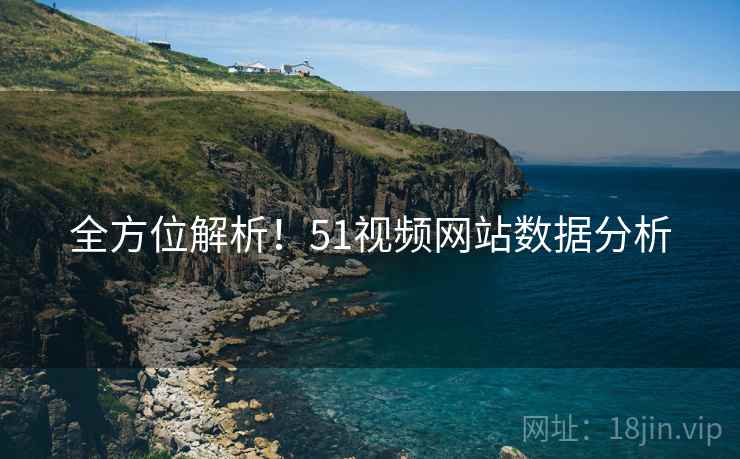 全方位解析！51视频网站数据分析