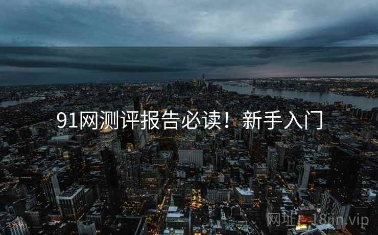 91网测评报告必读！新手入门