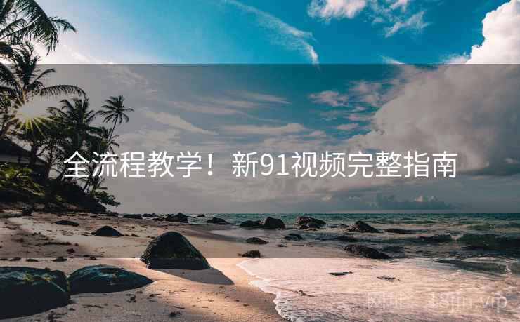 全流程教学！新91视频完整指南